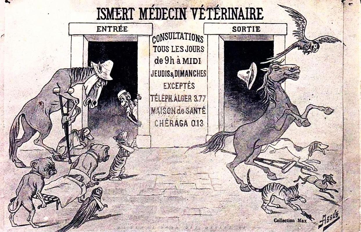 Cheraga - Pub Veterinaire Ismert.jpg